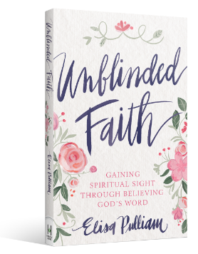 Unblinded Faith - 90 Day Devotional