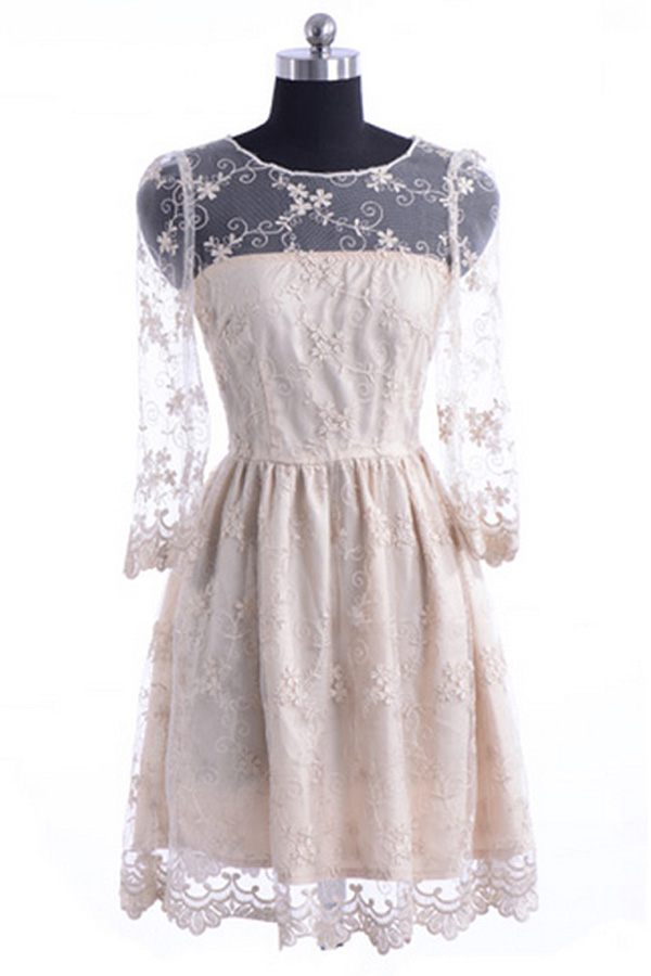Elegant-Lace-A-line-Dress