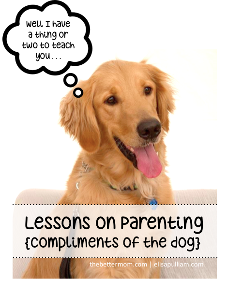 What do you think about parenting lessons from the dog?