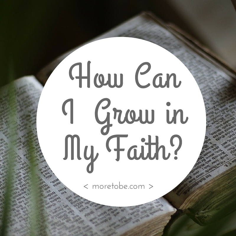 How Do I Grow in My Faith When I'm Too Busy to Read the Bible? More to Be