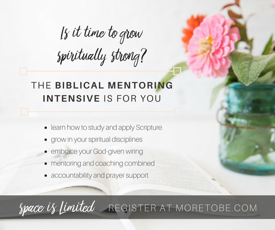Biblical Mentoring Intensive (2)