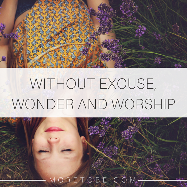 Without Excuse, Wonder and Worship