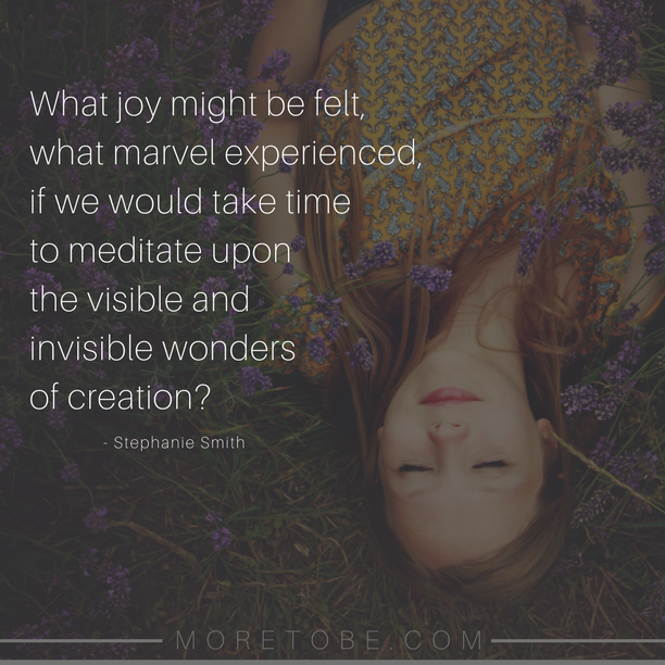 What joy might be felt, what marvel experienced, if we would take time to meditate upon the visible and invisible wonders of creation?