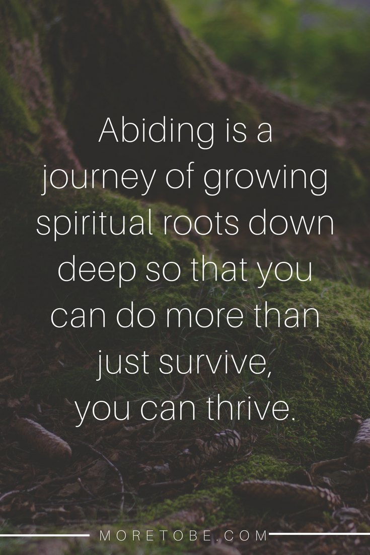 Abiding is a journey of growing spiritual roots down deep so that you can do more than just survive, you can thrive.