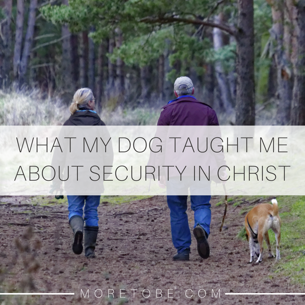 What My Dog Taught Me About Security in Christ