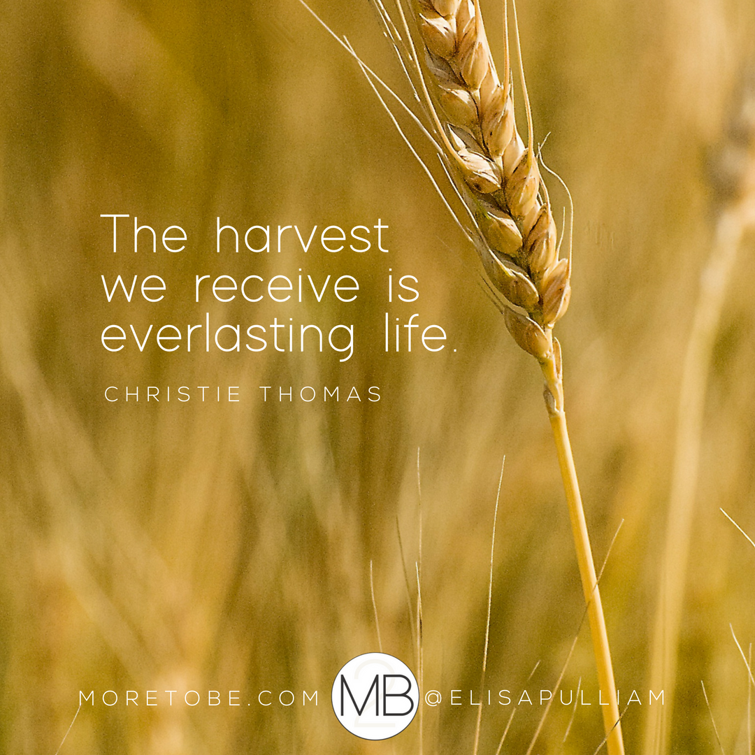 The harvest we receive is everlasting life. - Christie Thomas