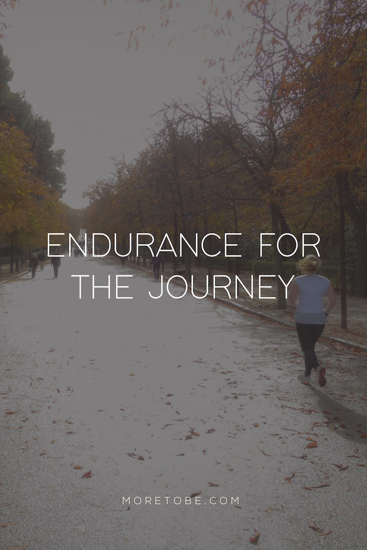 Endurance for the Journey . . . by Amanda Martinsen