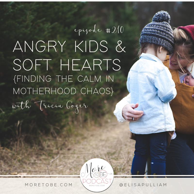 Angry Kids & Soft Hearts: Finding the Calm in Motherhood Chaos with Tricia Goyer on the More to Be Podcast
