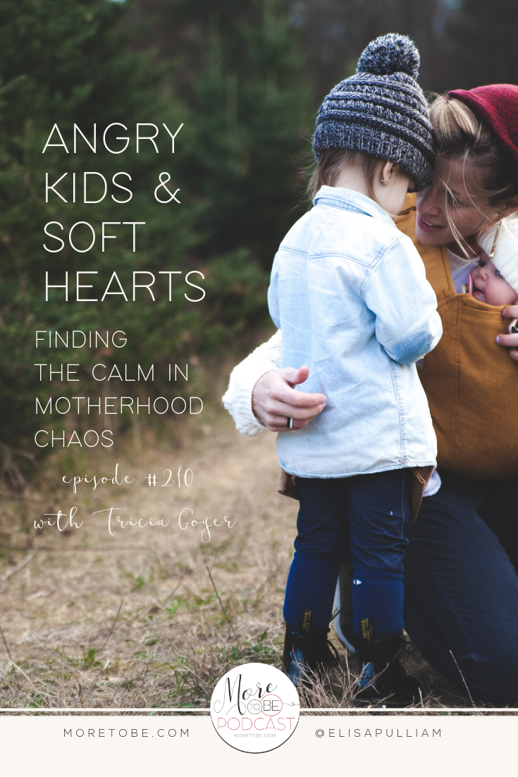 Angry Kids & Soft Hearts: Finding the Calm in Motherhood Chaos with Tricia Goyer on the More to Be Podcast