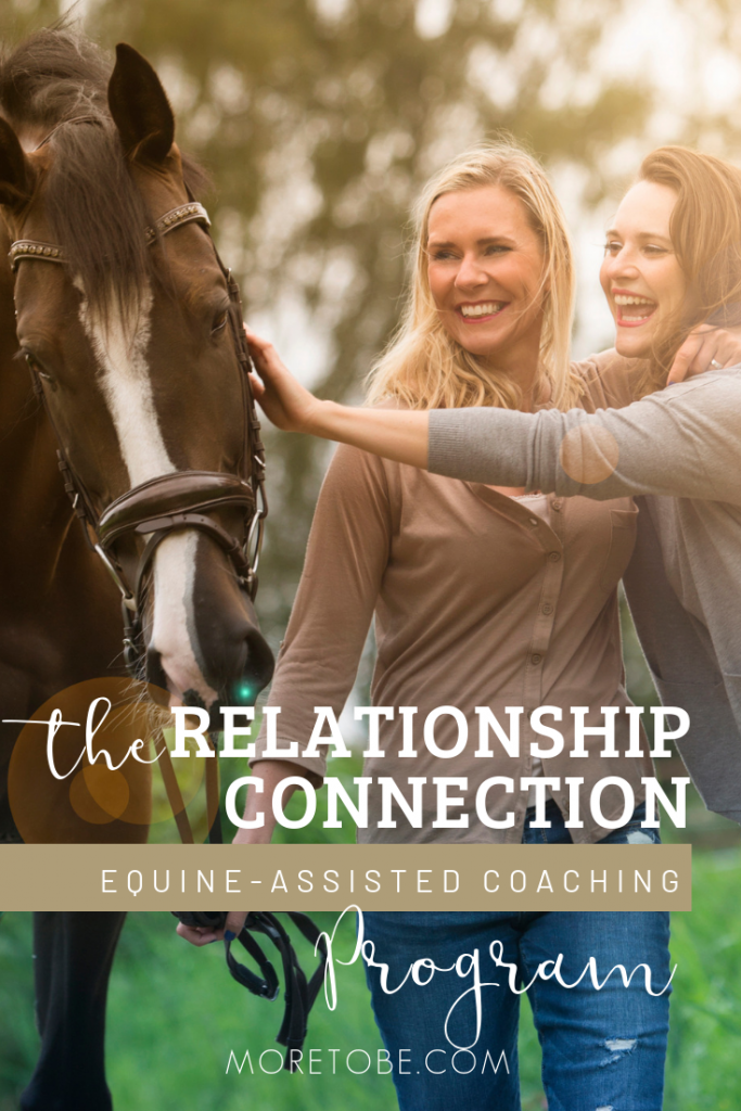 The Relationship Connection Equine-Assisted Coaching Program