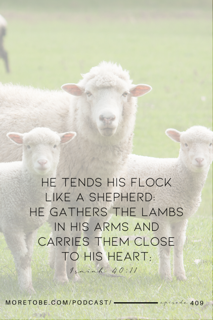 He tends his flock . . .