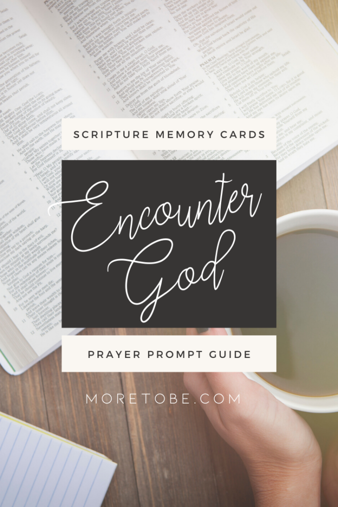 Encounter God: 52 Week Scripture Memory Cards