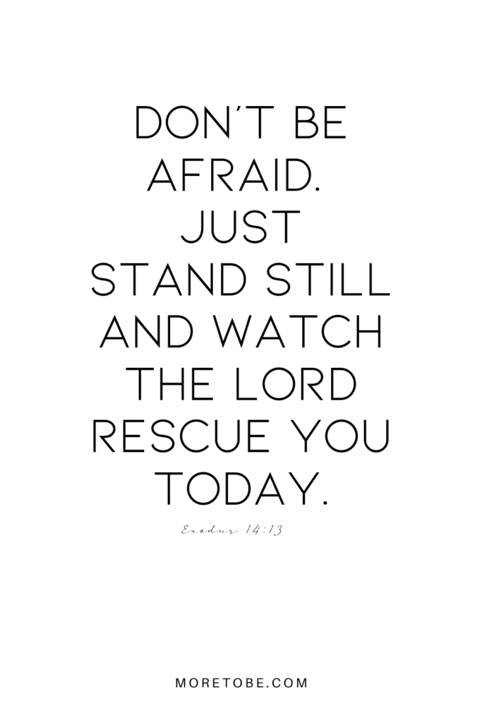 Don’t be afraid. Just stand still and watch the Lord rescue you today.