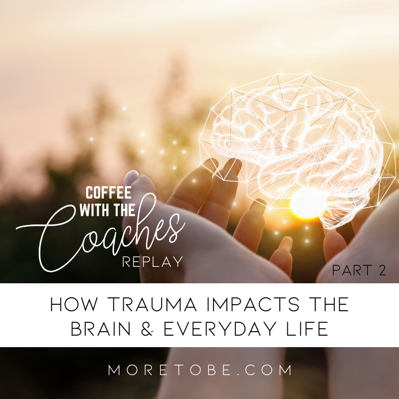 Understanding How Trauma Impacts the Brain & Life, Part 2