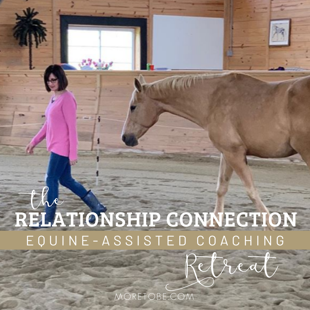 Relationship Connection Retreat Relationship Connection Retreat