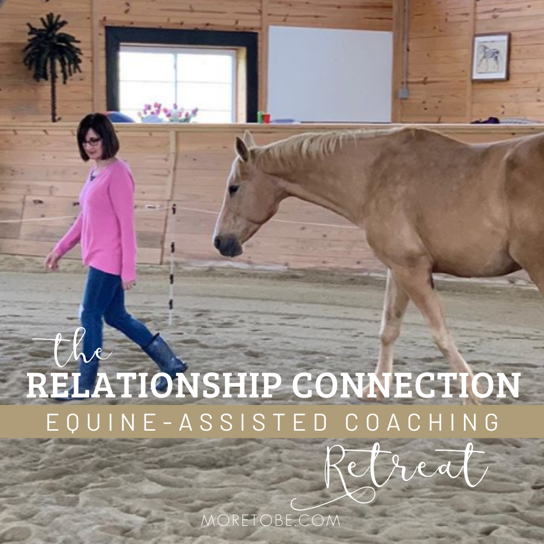 Relationship Connection Retreat